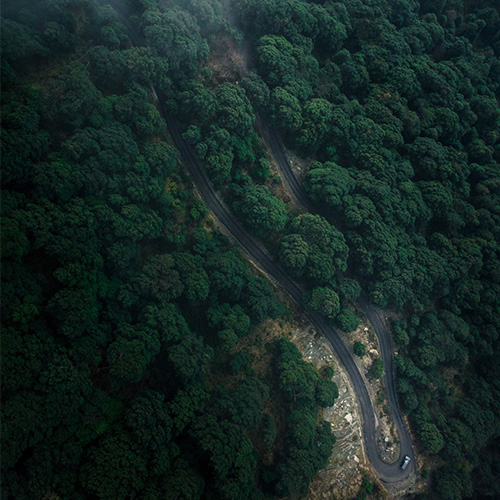 Carbon neutrality commitment
